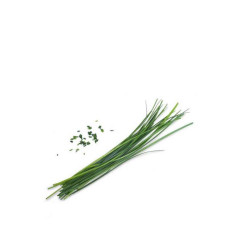 Lingot® Chinese Chives...