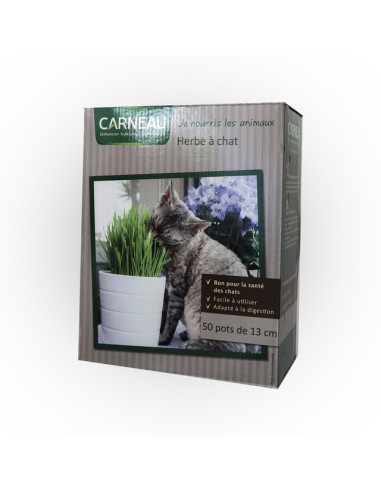 Котешка трева Carneau - 0,250 кг, за 5-7 м²