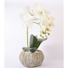 Аранжировка изкуствена орхидея IRA Commerce - Височина 38 см, в кашпа, бяла