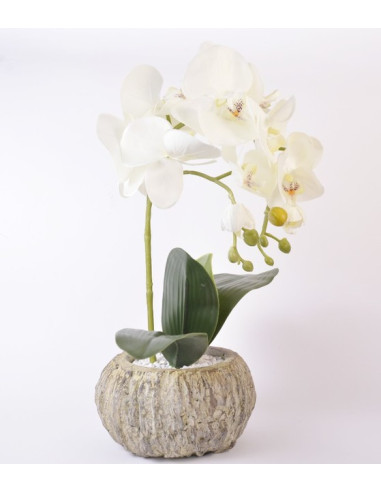 Аранжировка изкуствена орхидея IRA Commerce - Височина 38 см, в кашпа, бяла