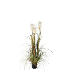 Изкуствена декоративна Пампаска трева - Височина 120 см, бяла, в саксия