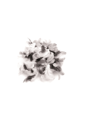 Декоративни пера Glorex - 10 г, сиви, черни и бели