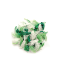 Декоративни пера Glorex - 10 г, зелен микс