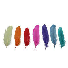 Декоративни пера Glorex - Дължина 13-15 см, различни цветове