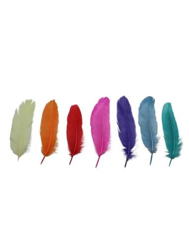 Декоративни пера Glorex - Дължина 13-15 см, различни цветове