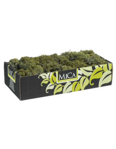 Еленски мъх за декорация Mica Decorations - 500 гр, кутия, тъмно зелен