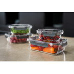 Комплект от 4 бр. стъклени кутии за храна с херметическо затваряне - различни размери - ZYLISS
