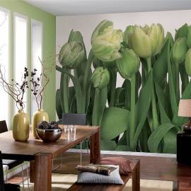 Imagén: Фототапет Tulips, 8 части, 368х254 см