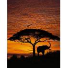 Фототапет Африка зелез, 4 части, 194х270 см
