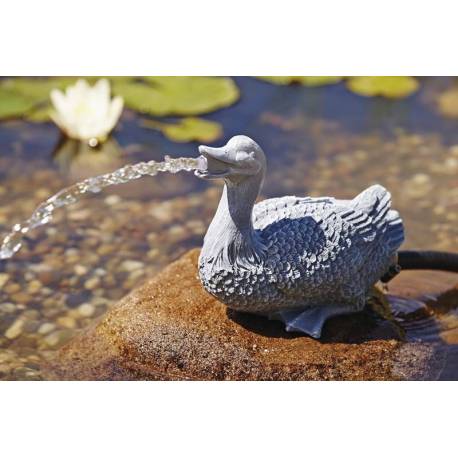 Водоливник - патица