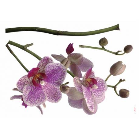Декоративен стикер Орхидея, 3 части, 100х70 см