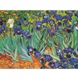 Картина Iris - Van Gogh, 35x50 см
