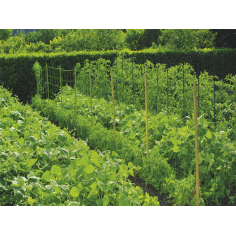 Imagén: Мрежа за краставици и домати  1.7x500 м