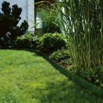 Мини лента за цветни лехи, зелена - 9 м x 15 см