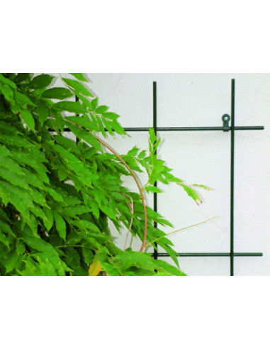 Решетка за пълзящи растения Bellissa, 150х45 см, зелена