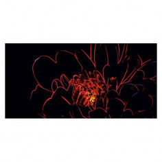 Декор Fluorescent Flower Red Inserto - 29,7х60 см