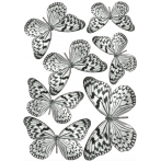 Декоративен стикер '3D Пеперуди' - черно/бели, 7 пеперуди с различни размери - 8x6,5 см или 14х11 см
