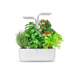 Домашна градина SMART VÉRITABLE® GARDEN - цвят бял/ инокс