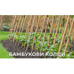 Кол за домати PLAIN BAMBOO CANE 1.5 м, бамбук