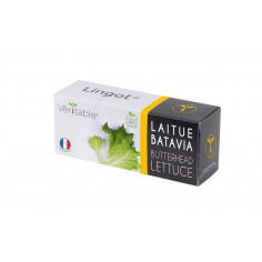 Lingot® Butterhead Lettuce...