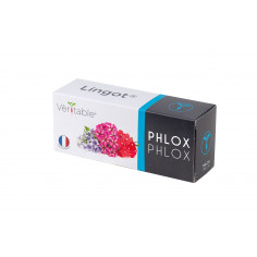 Lingot® Phlox - Ядлив Флокс