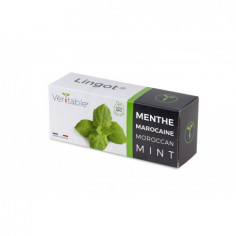 Lingot® Maroccan Mint - Мароканска Мента