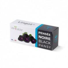 Lingot® Black Pansy - Черна Теменужка