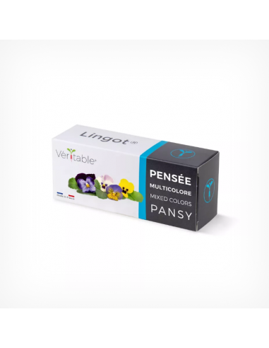Lingot® Multi colored Pansy - Многоцветна Теменужка