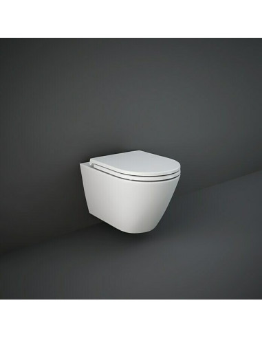 Стенна тоалетна без ръб - Бяла санитарна керамика, мат, без седалка